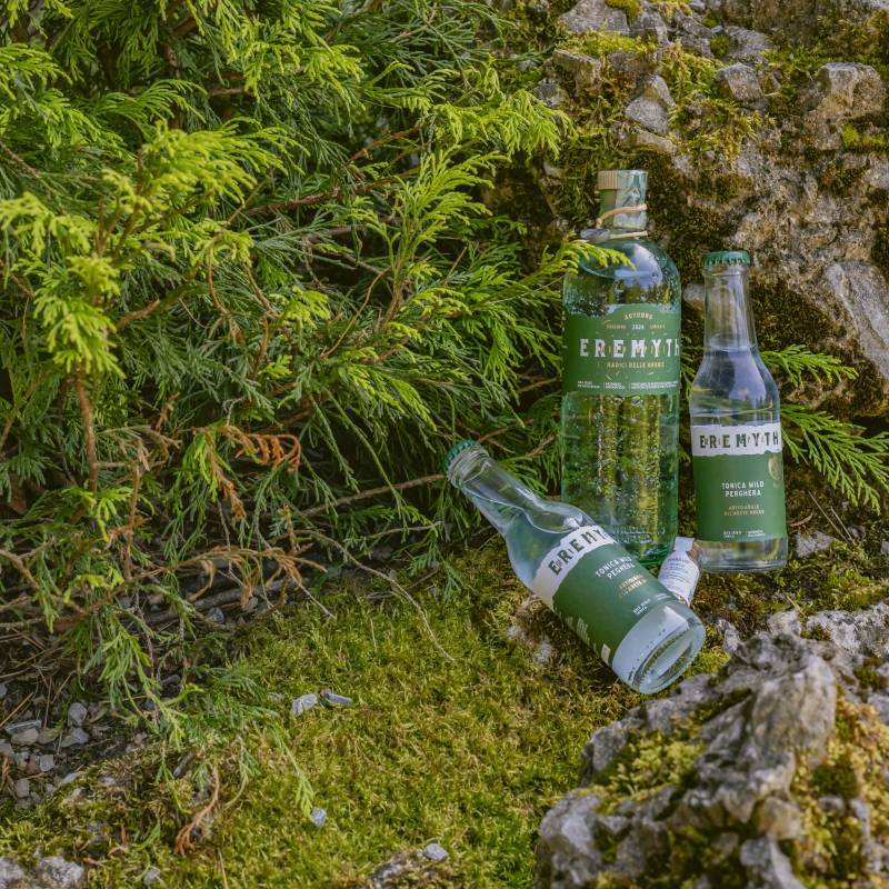 Eremyth Gin Radici 2024