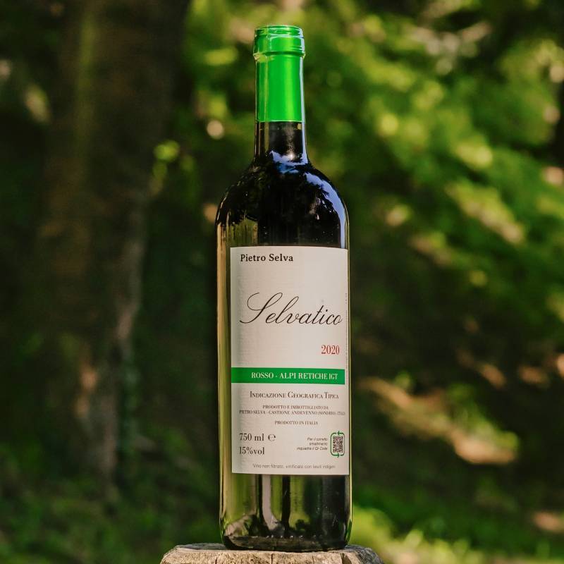 Selvatico