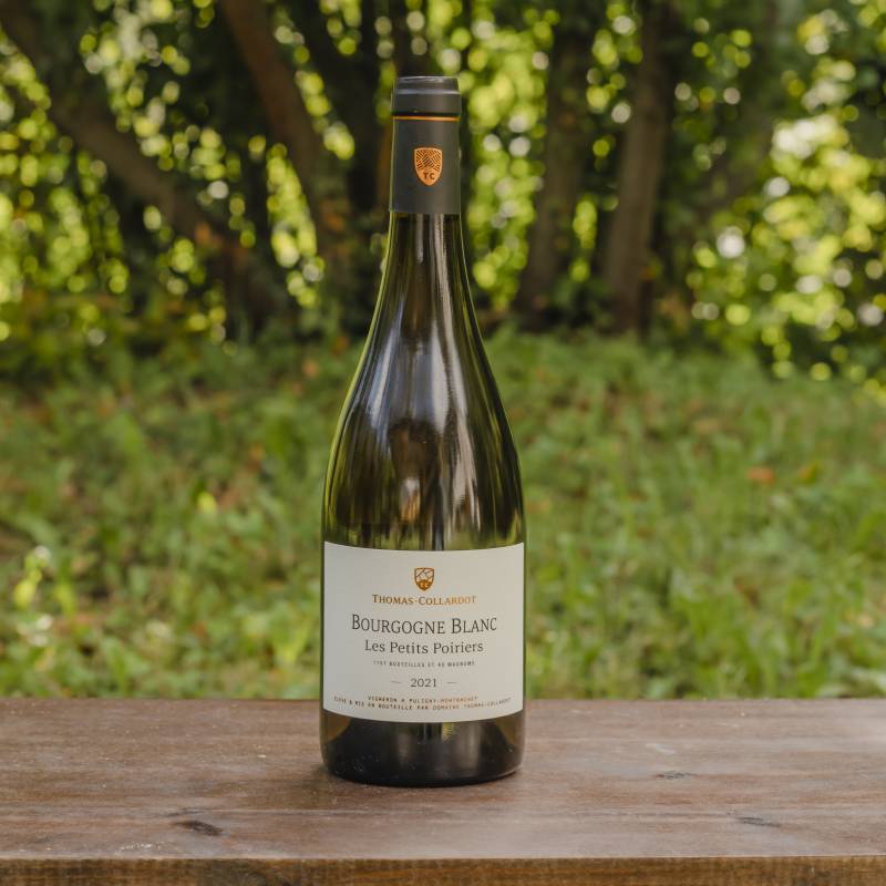 Thomas Collardot Bourgogne Blanc Les Petits Poirers