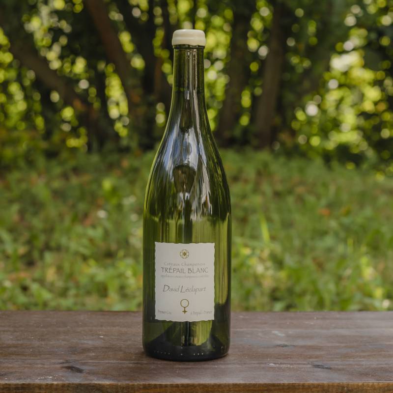 David Leclapart Coteaux Champenois Trepail Blanc L21