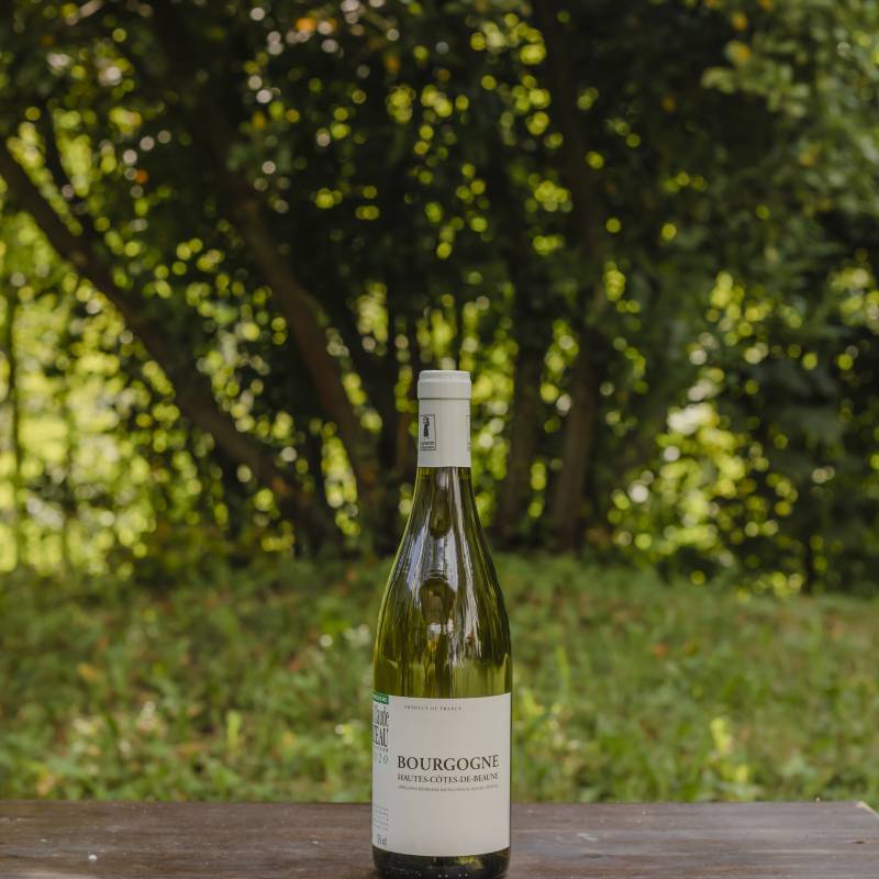 Jean Claude Rateau Bourgogne Blanc Hautes Cotes De Beaune