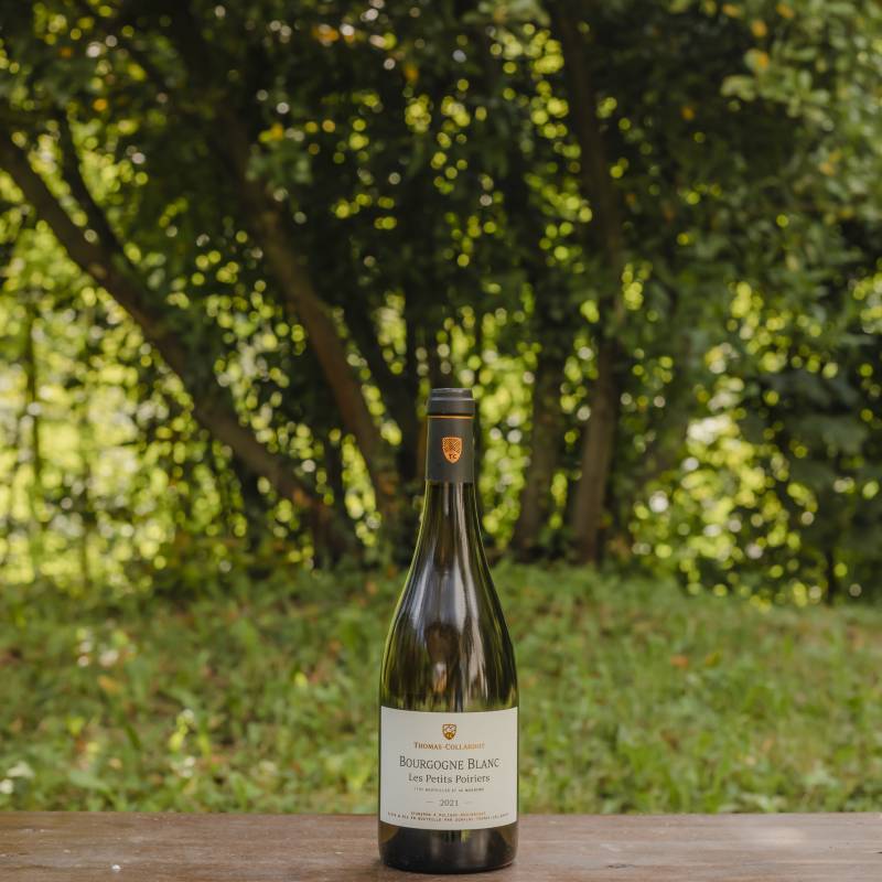 Thomas Collardot Bourgogne Blanc Les Petits Poirers