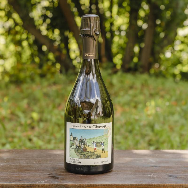 Chavost Blanc De Chardonnay Brut Nature