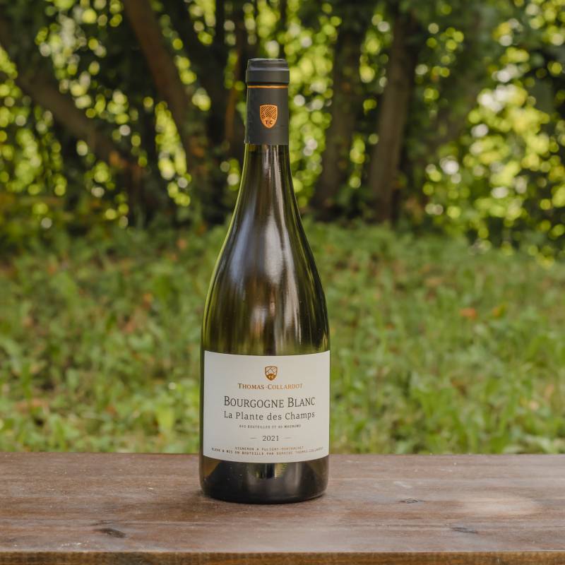 Thomas Collardot Bourgogne Blanc 2021 La Plante Des Champs