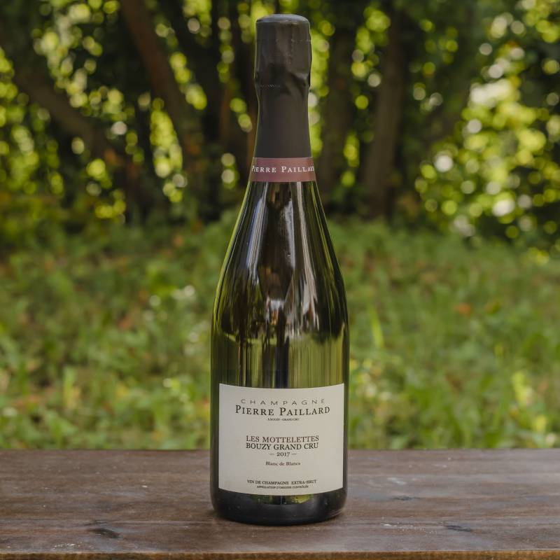Pierre Paillard Les Mottelettes 2017