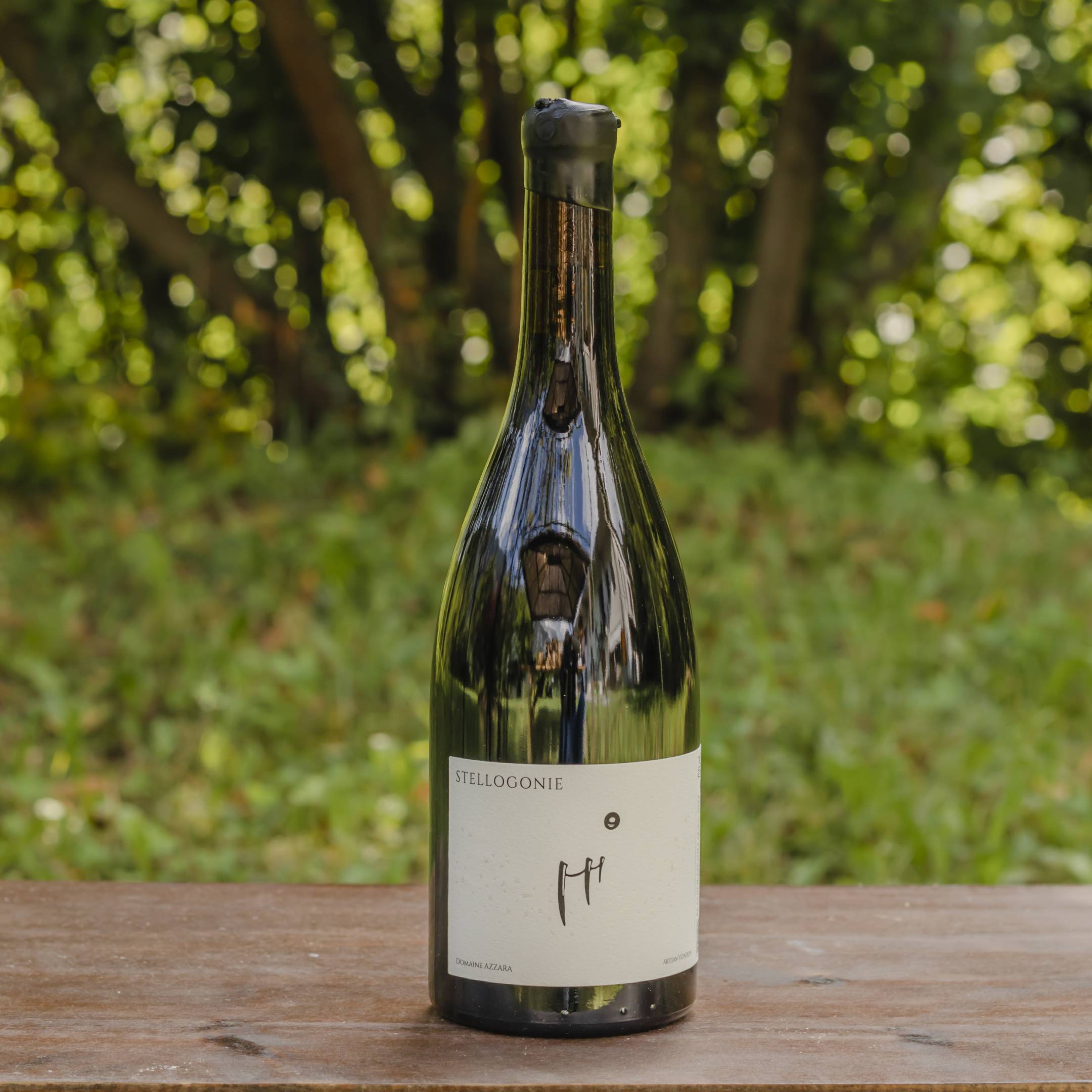 Domaine Benjamin Azzara Beaujolais Villages Stellogonie
