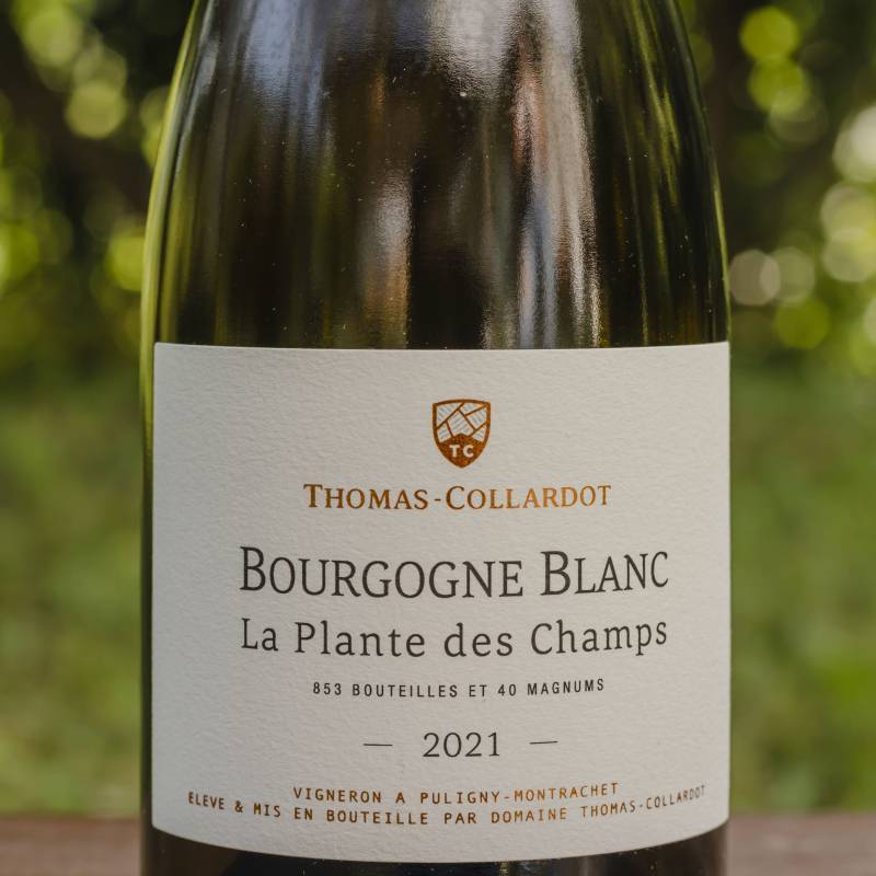 Thomas Collardot Bourgogne Blanc 2021 La Plante Des Champs