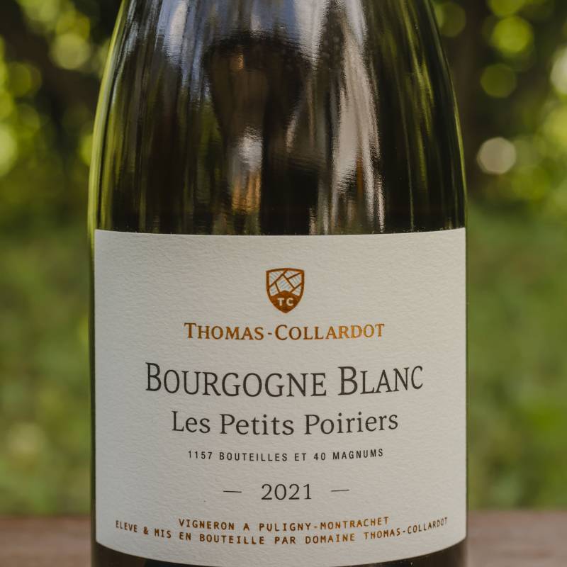 Thomas Collardot Bourgogne Blanc Les Petits Poirers