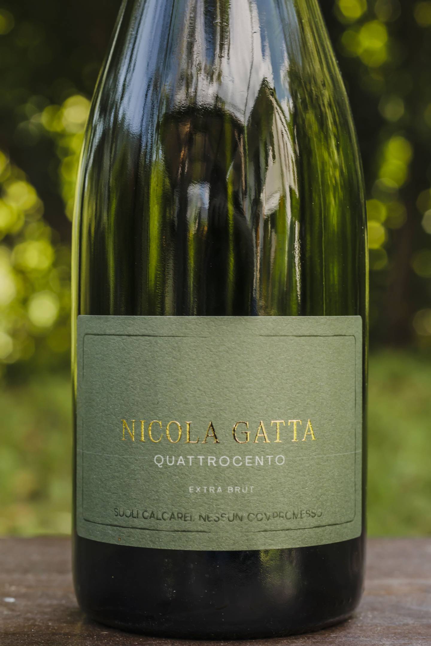 Nicola Gatta Quattrocento