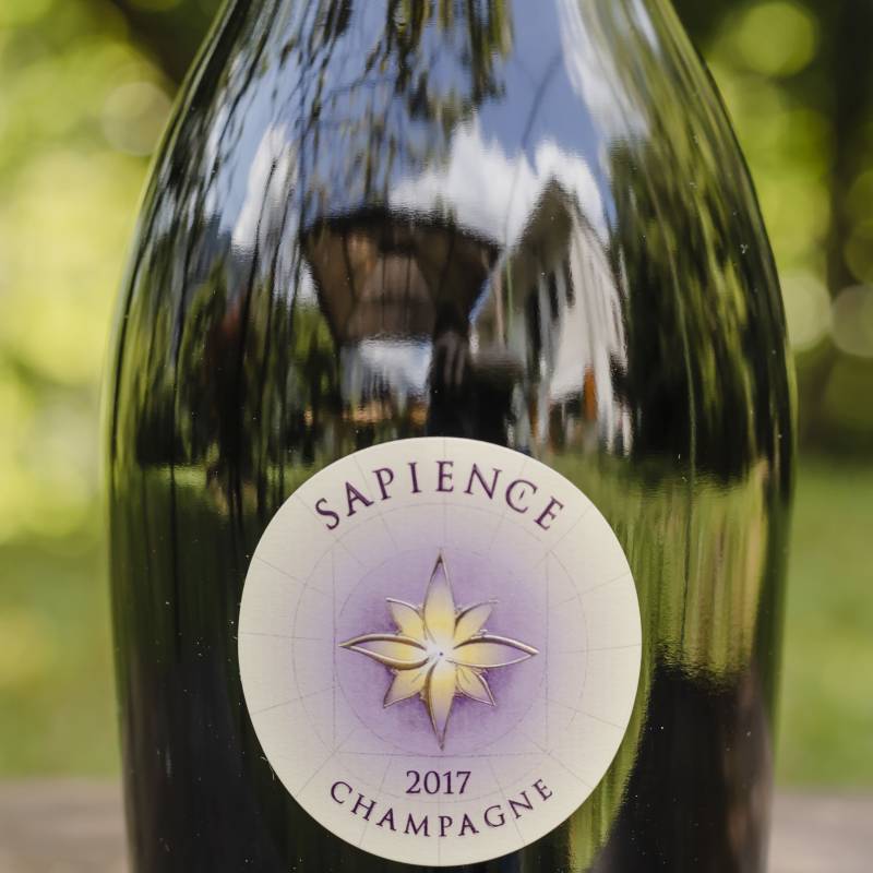 Marguet Sapience