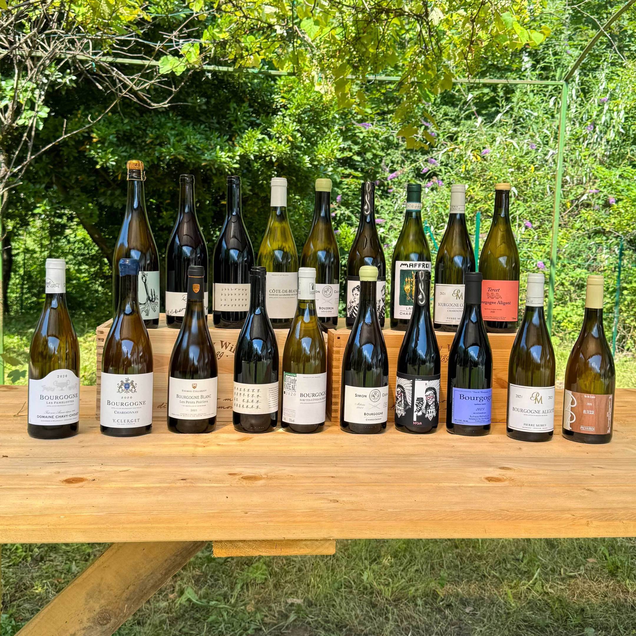 Mystery Wild Box - Summer Hits