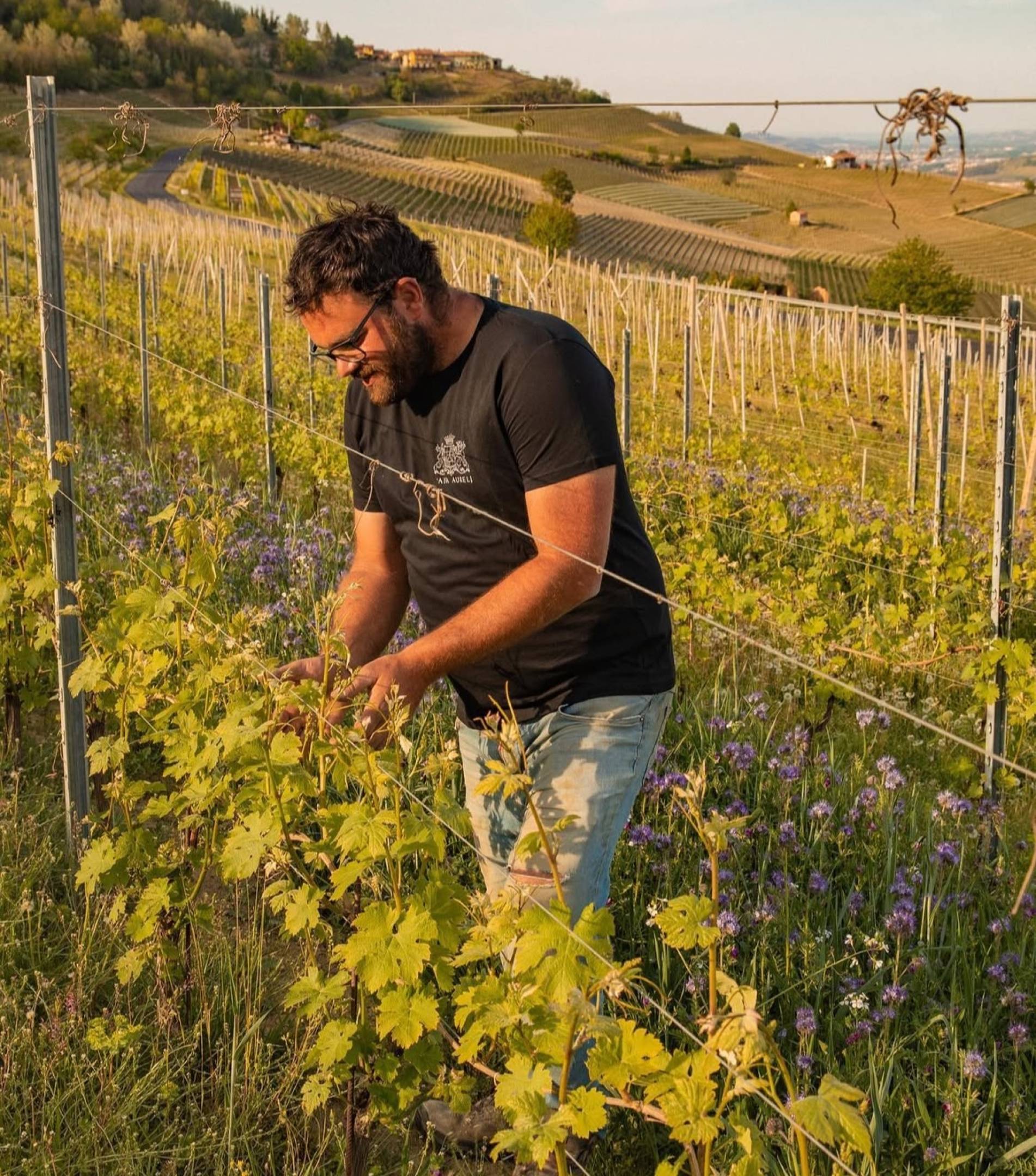 Langhe wild