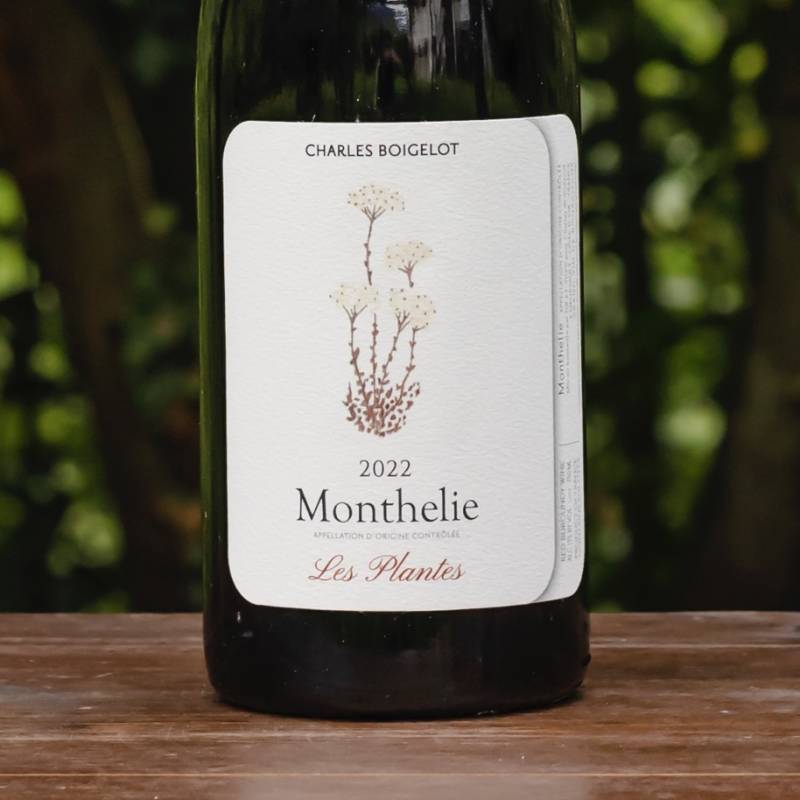Monthélie Les Plantes