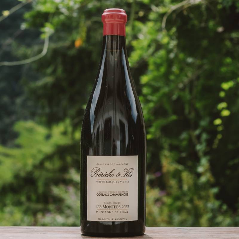 Coteaux Champenois Les Montees