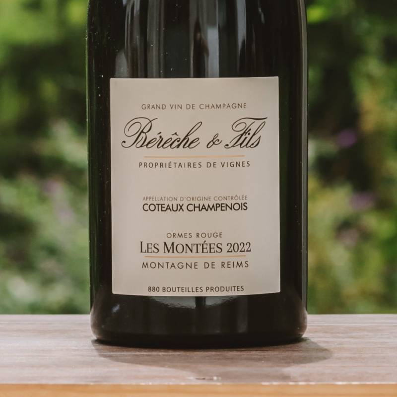 Coteaux Champenois Les Montees