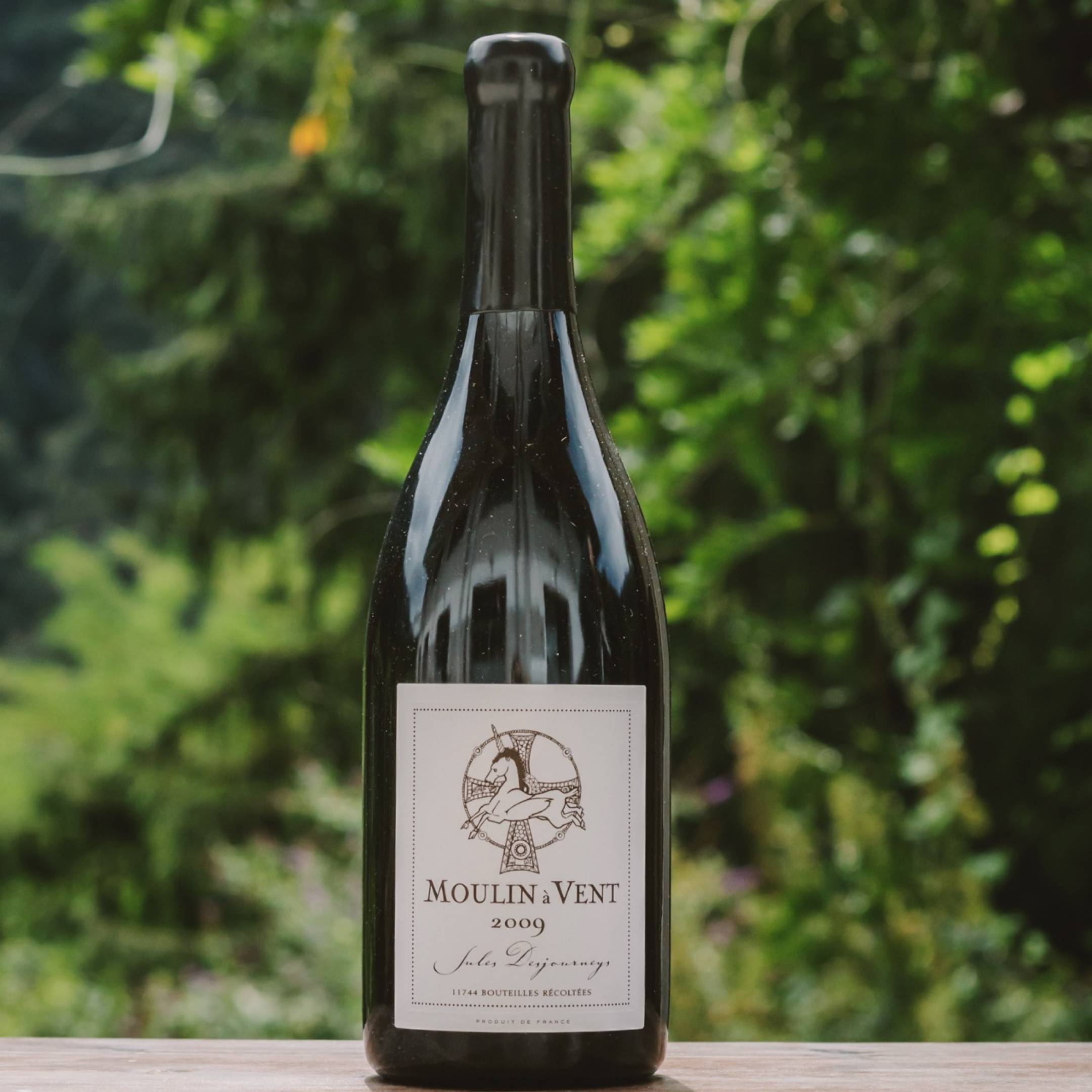 Domaine Jules Desjourneys Moulin A Vent 2009