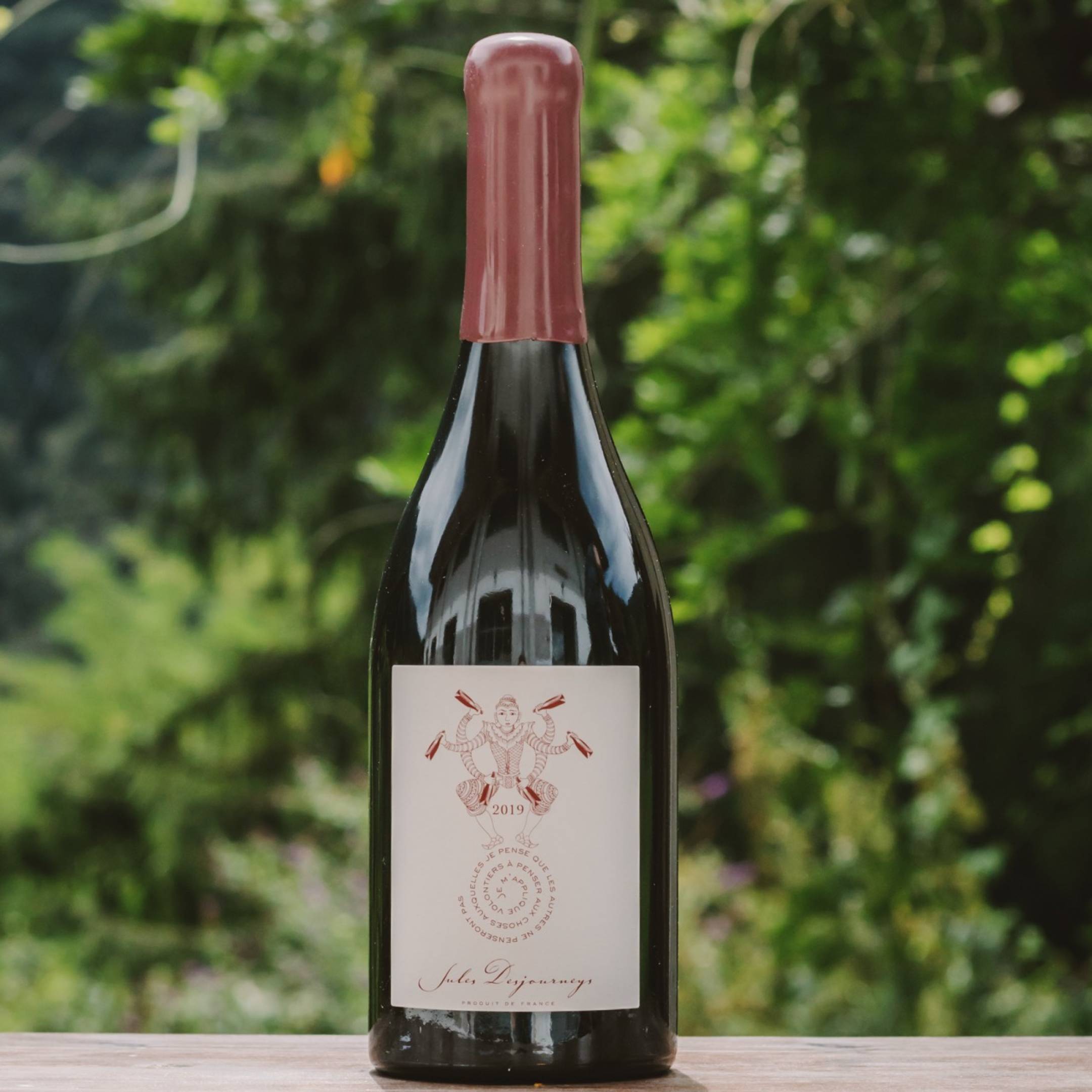 Domaine Jules Desjourneys Beaujolais Pataphysique
