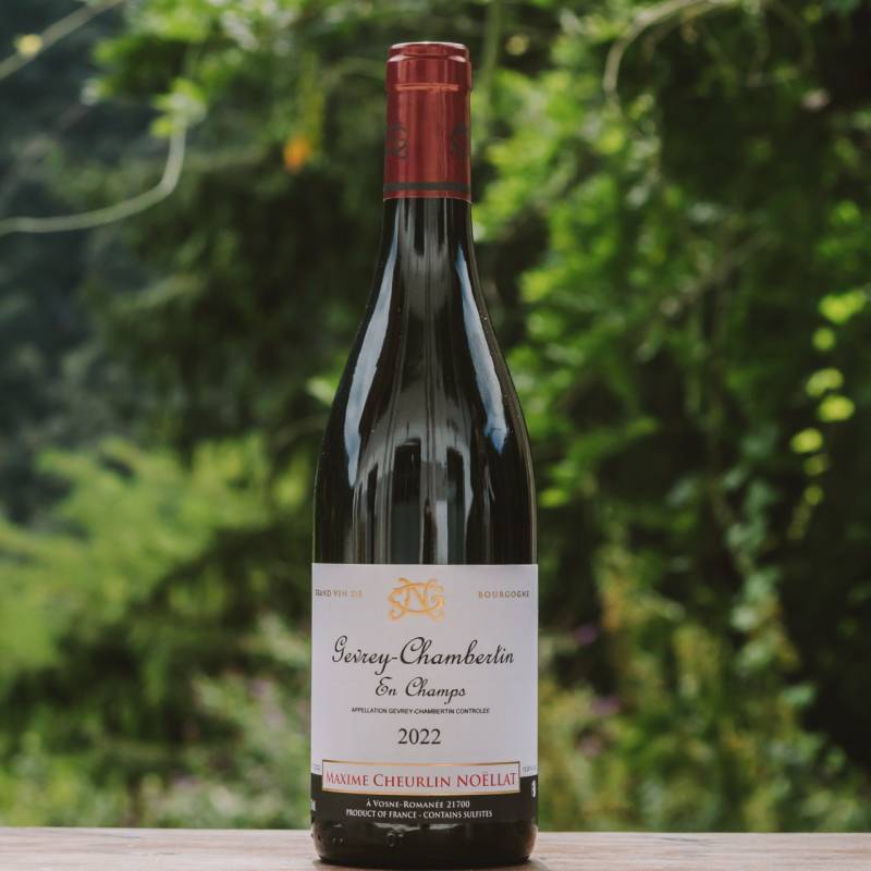 Gevrey Chambertin En Champs