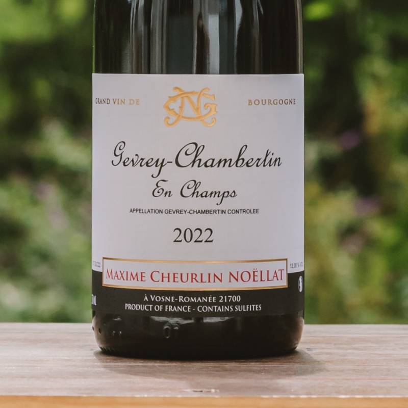 Gevrey Chambertin En Champs