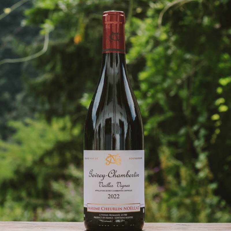 Gevrey Chambertin Vieille Vignes