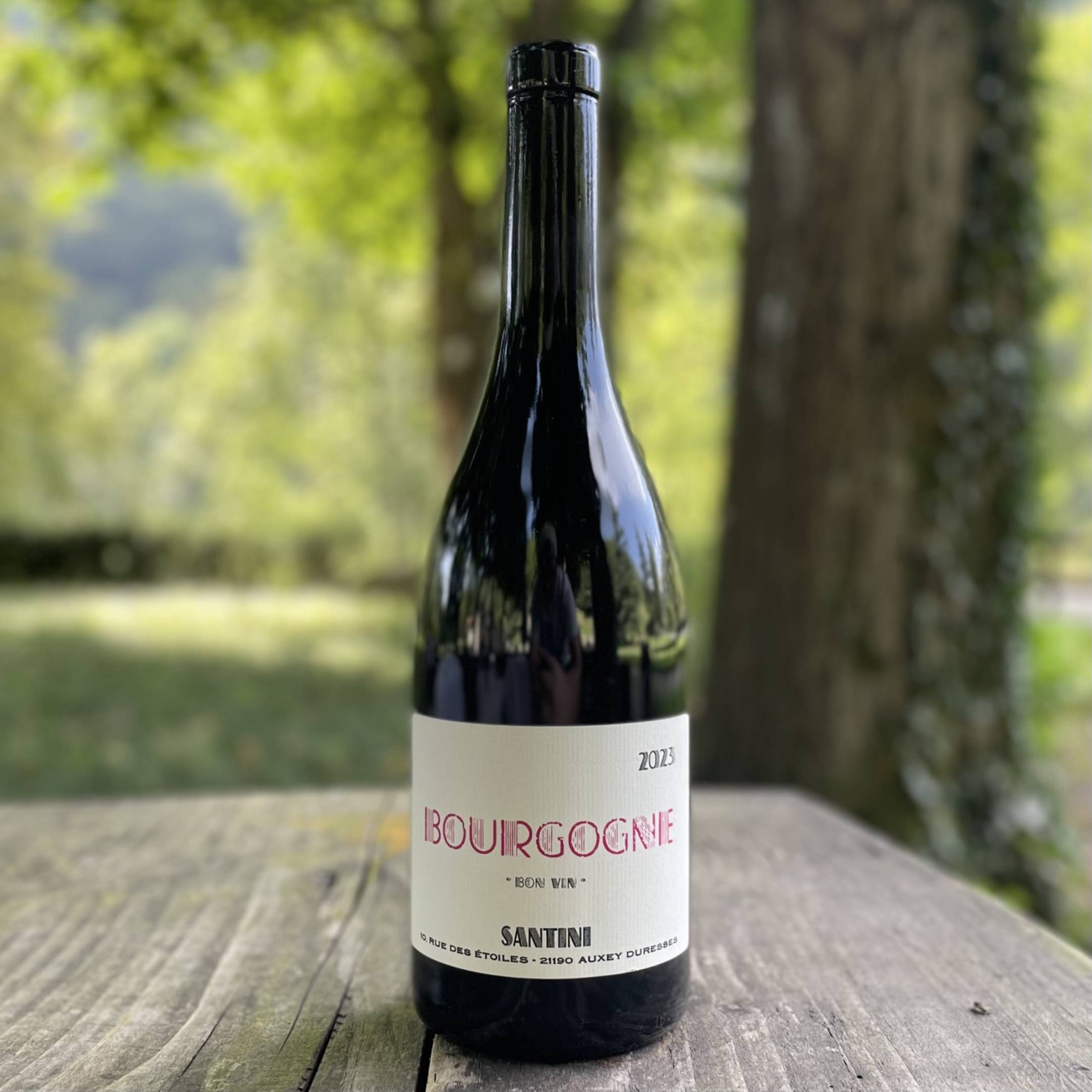 Santini Bourgogne Rouge Bon Vin 2023