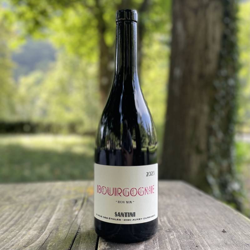 Bourgogne Rouge Bon Vin 2023