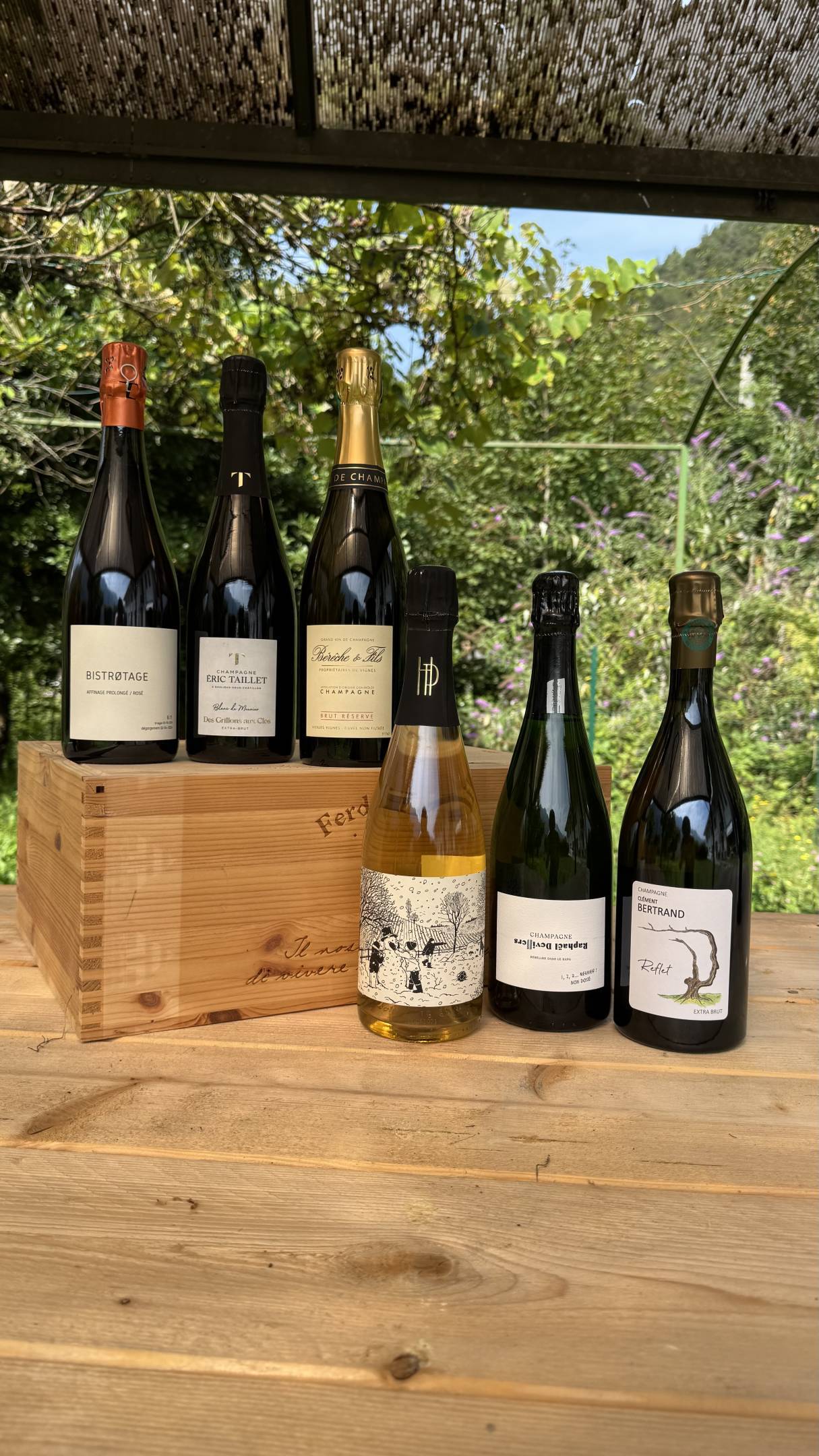 Box Champagne - Visioni