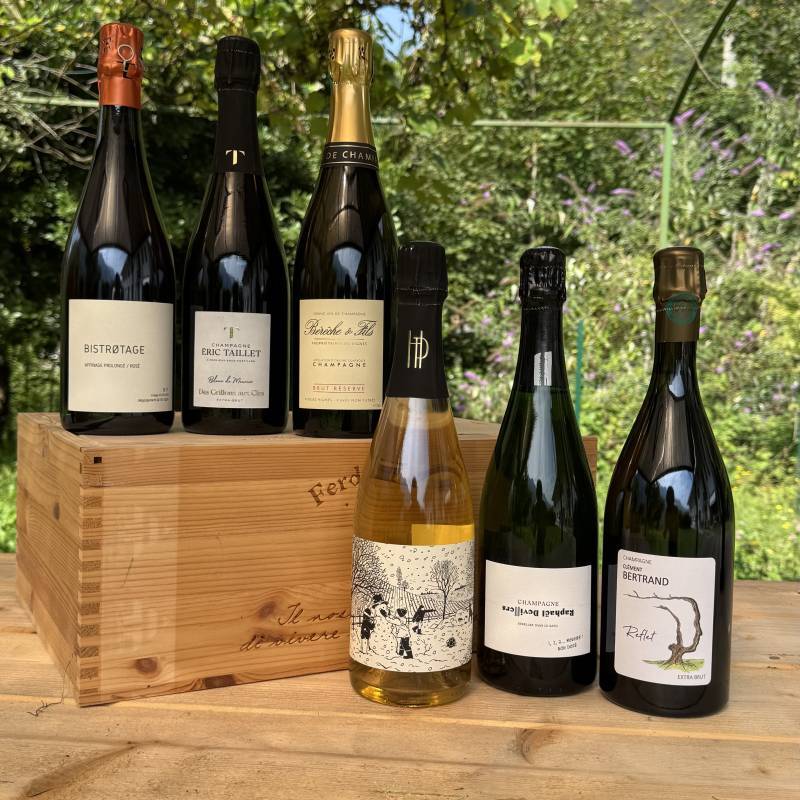 Box Champagne - Visioni