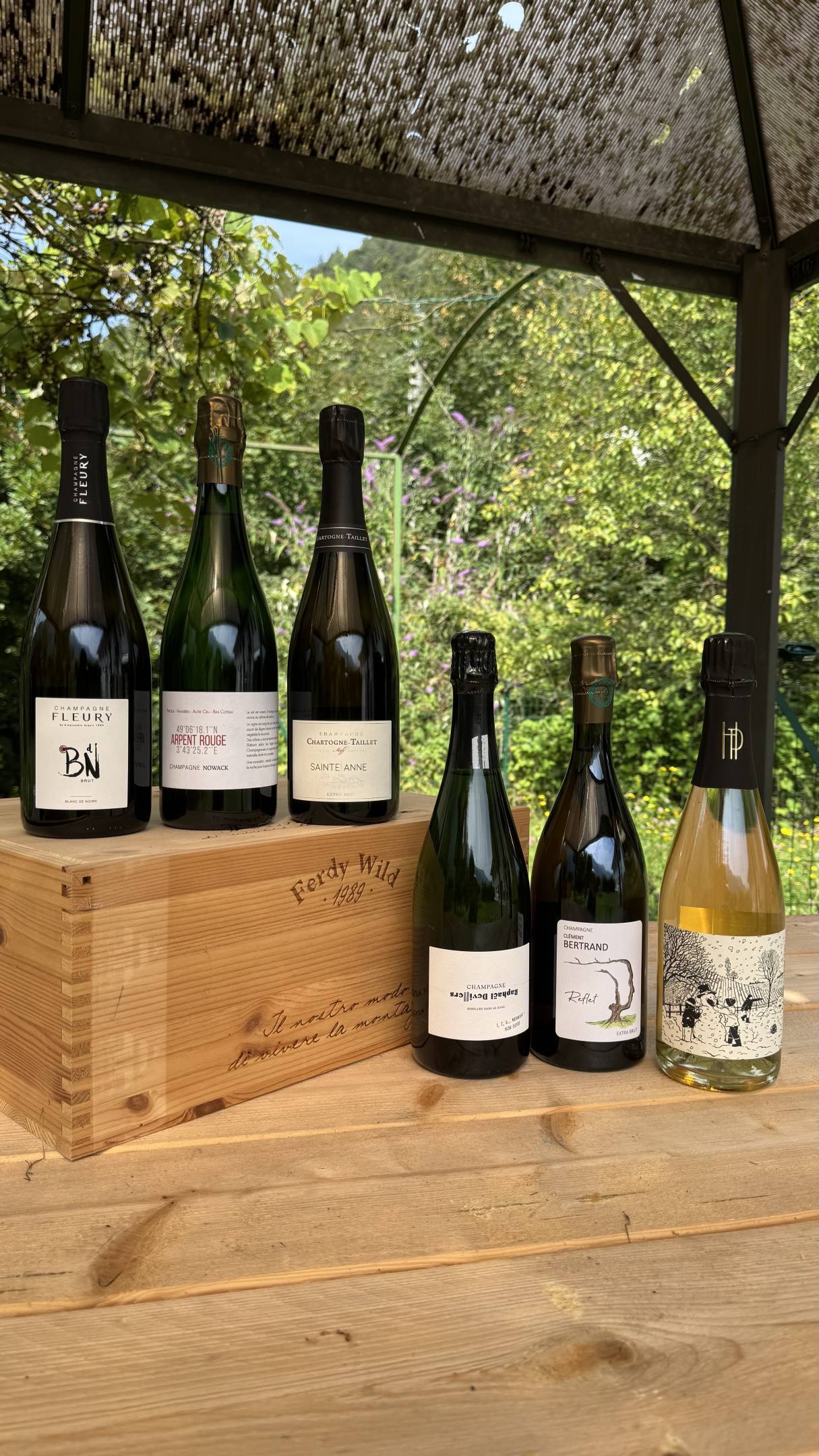 Box Champagne - Certezze