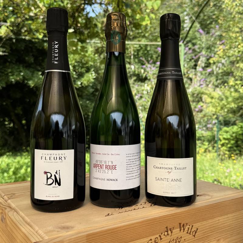 Box Champagne - Certezze