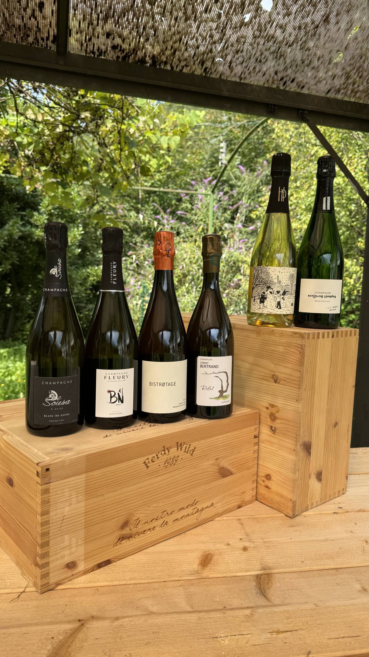 Box Champagne - Esplorazioni