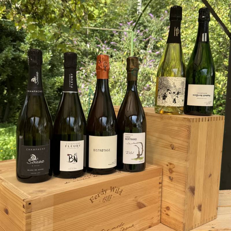 Box Champagne - Esplorazioni