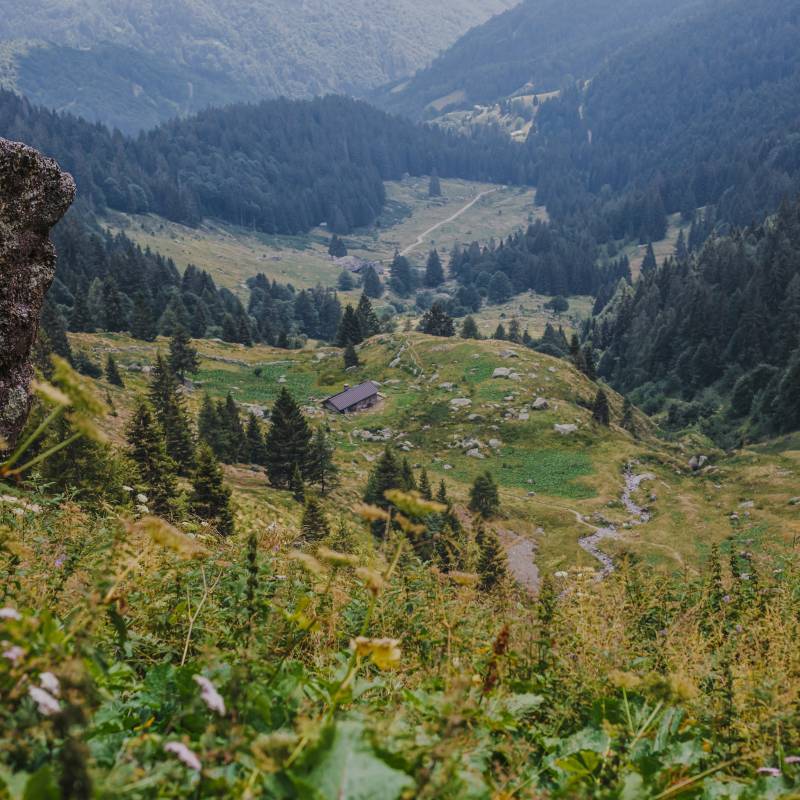 Formai de Mut dell'Alta Valle Brembana DOP 2025