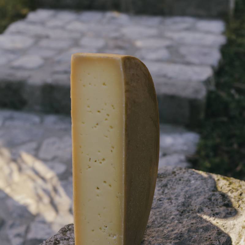 Storico Ribelle 2025