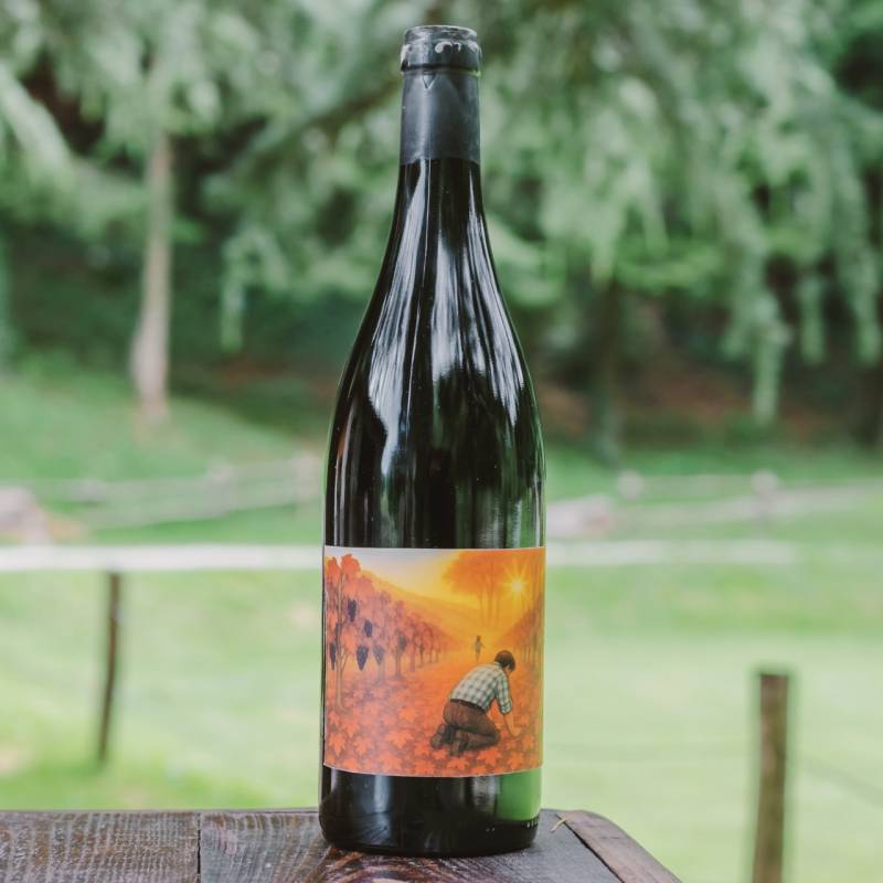 Pinot Nero 2020