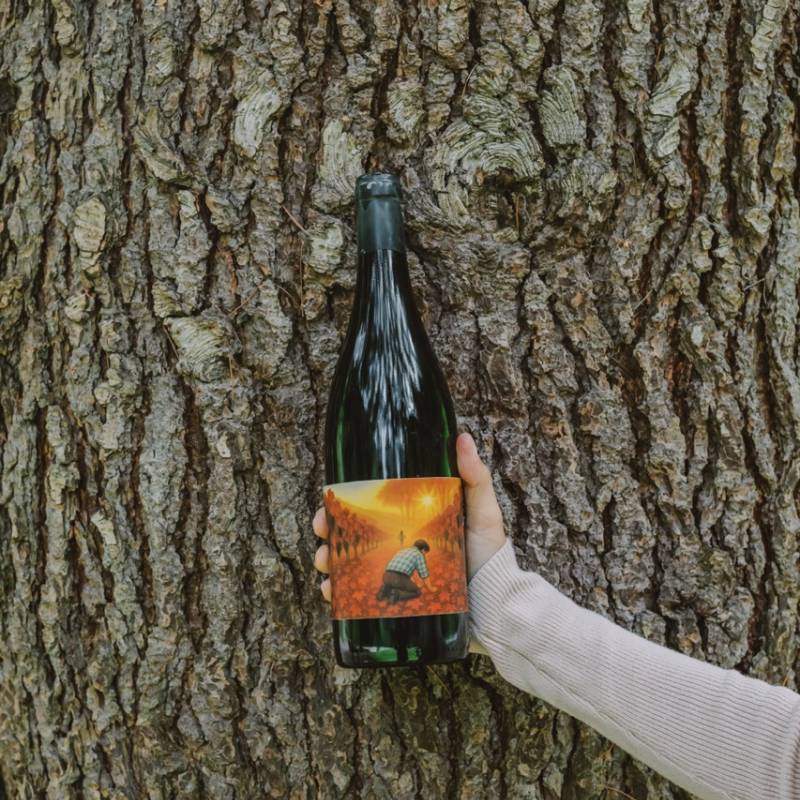 Pinot Nero 2020