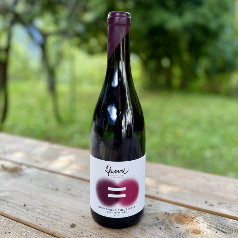 Bourgogne Pinot Noir Les Chaillots 2023