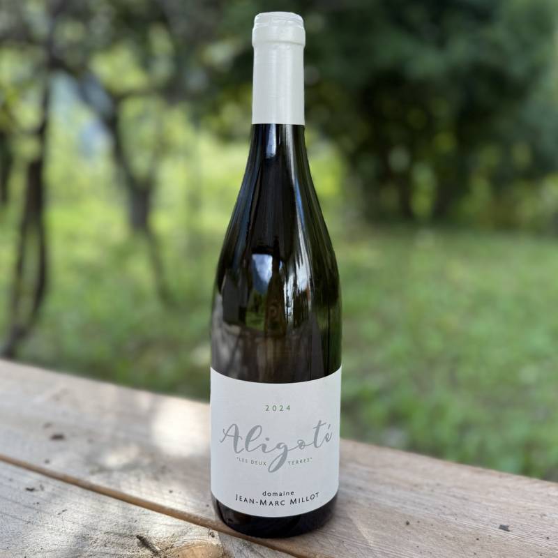 Bourgogne Aligote 2024