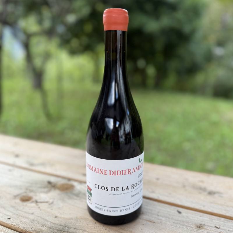 Clos de la Roche Grand Cru 2021