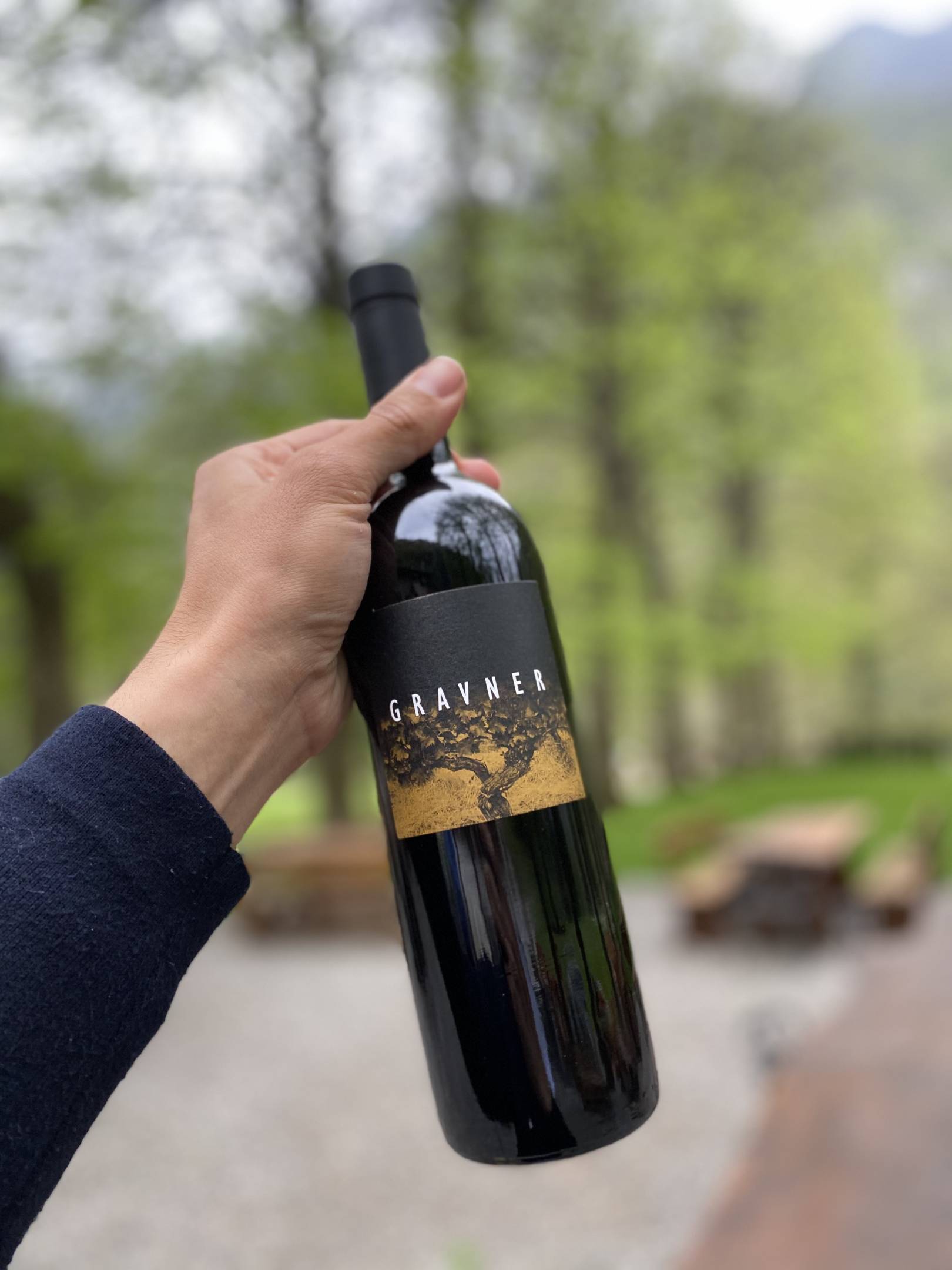 Una serata con Mateja Gravner – verticale irripetibile