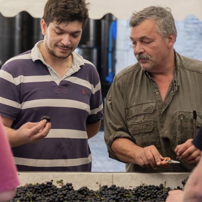 Vosne Romanee 2023