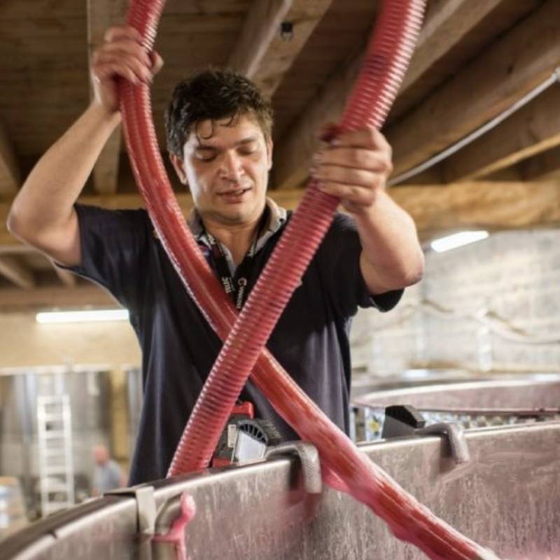 Gevrey Chambertin 2023