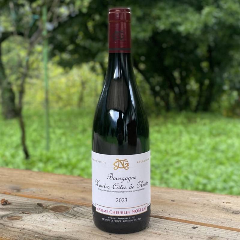 Bourgogne Haute cotes de Nuits 2023
