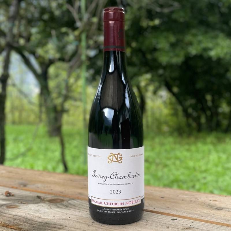 Gevrey Chambertin 2023