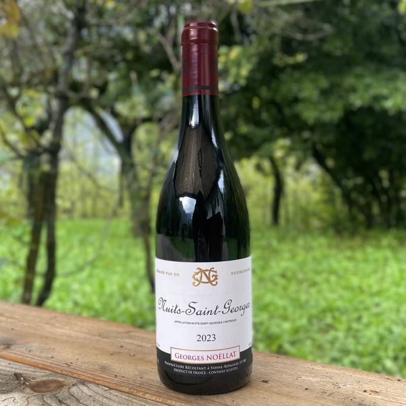 Nuits Saint Georges 2023