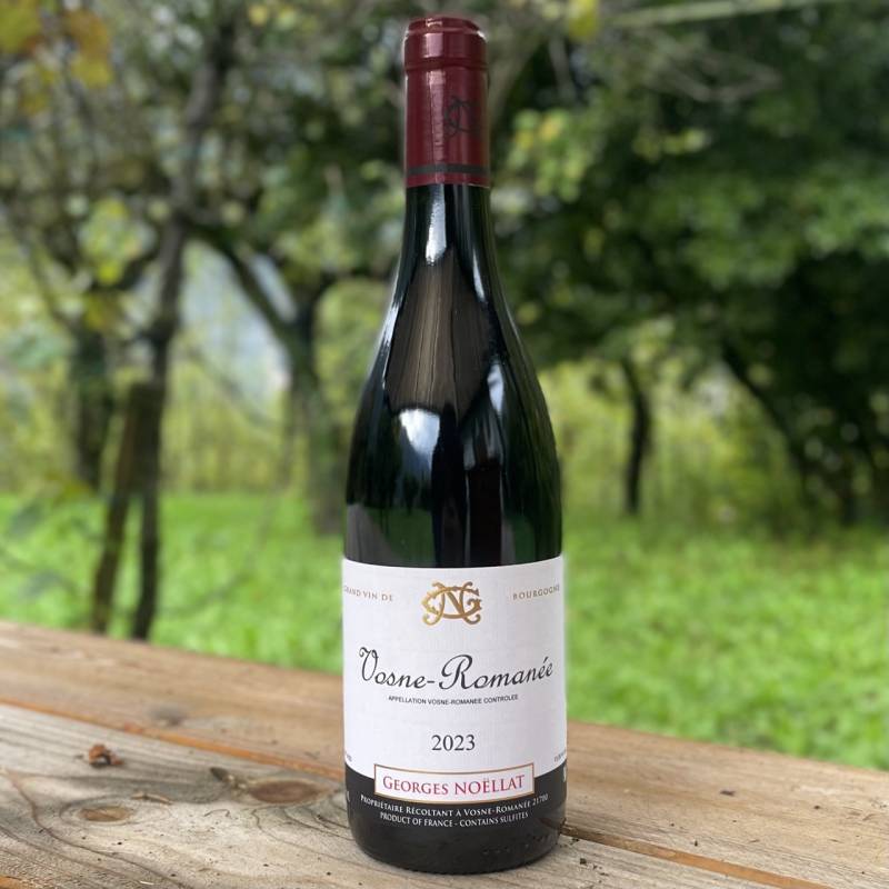 Vosne Romanee 2023