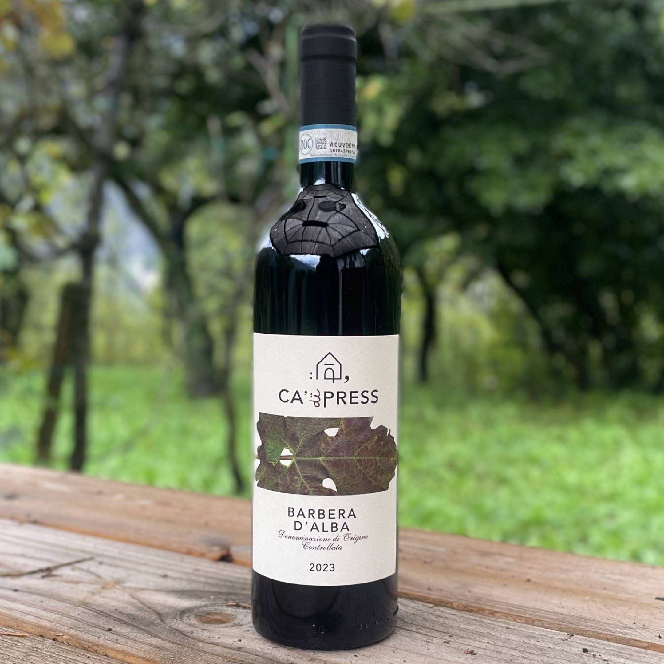 Ca di Press Barbera d'Alba 2023