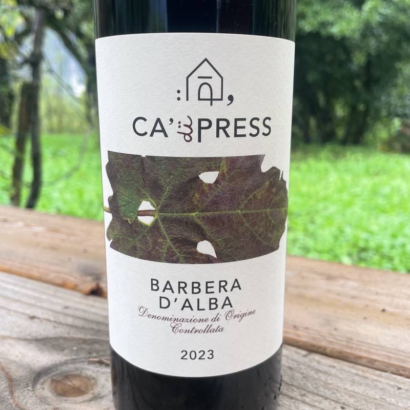 Barbera d'Alba 2023