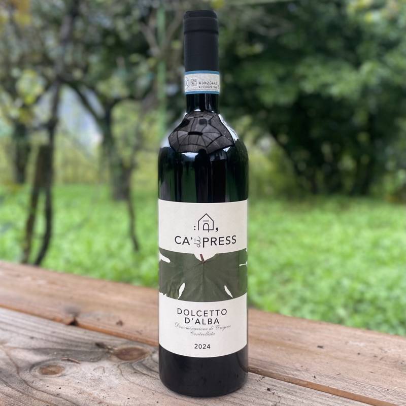 Dolcetto d'Alba 2024