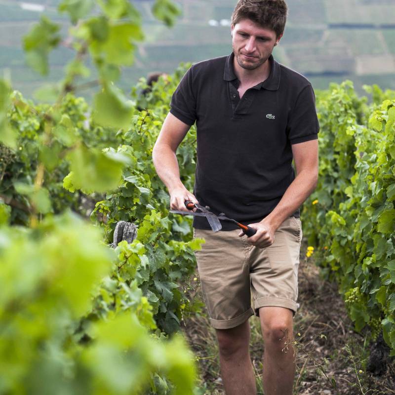 Macon Villages Les Sardines 2022 Magnum